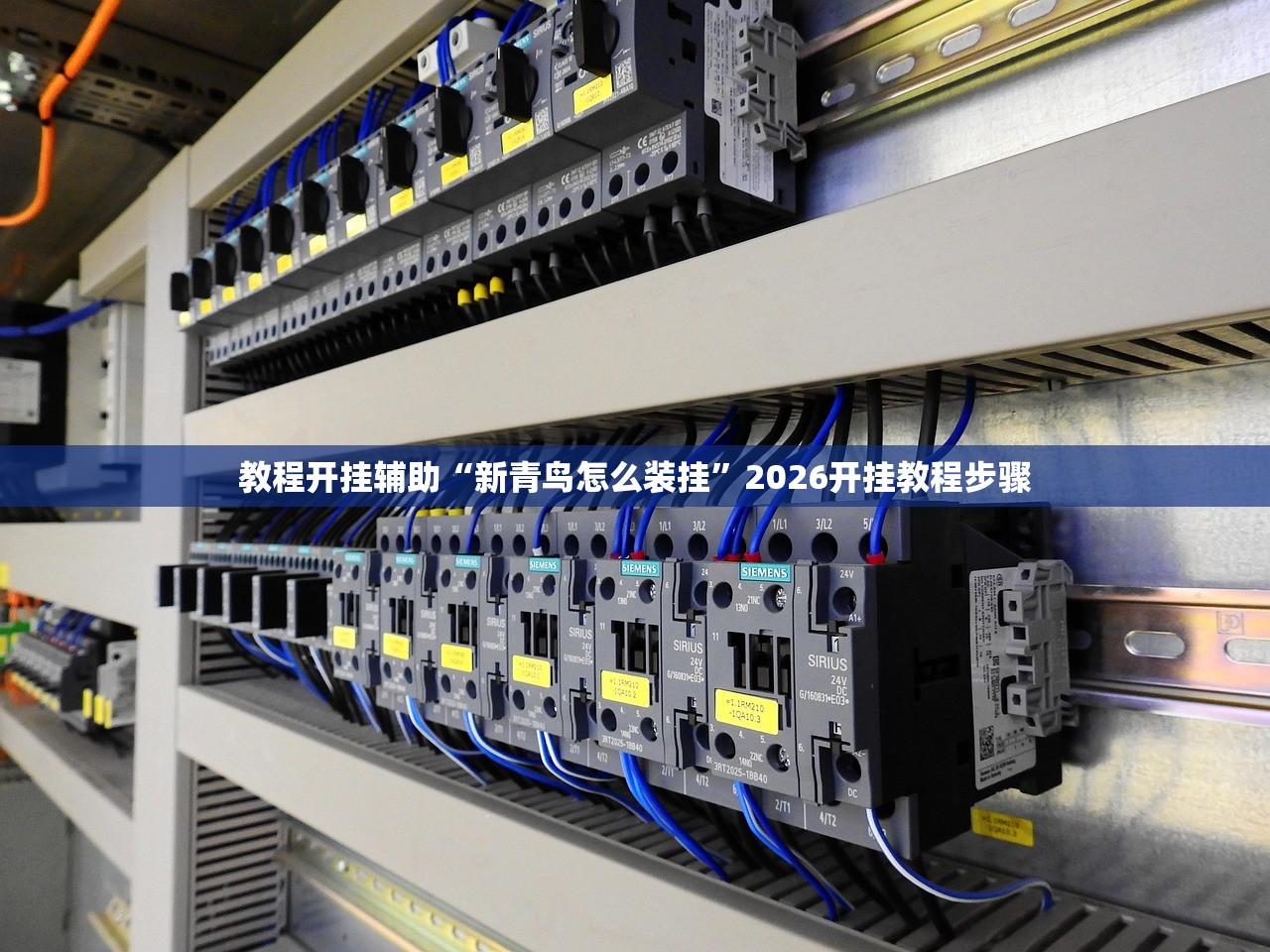 教程开挂辅助“新青鸟怎么装挂”2026开挂教程步骤