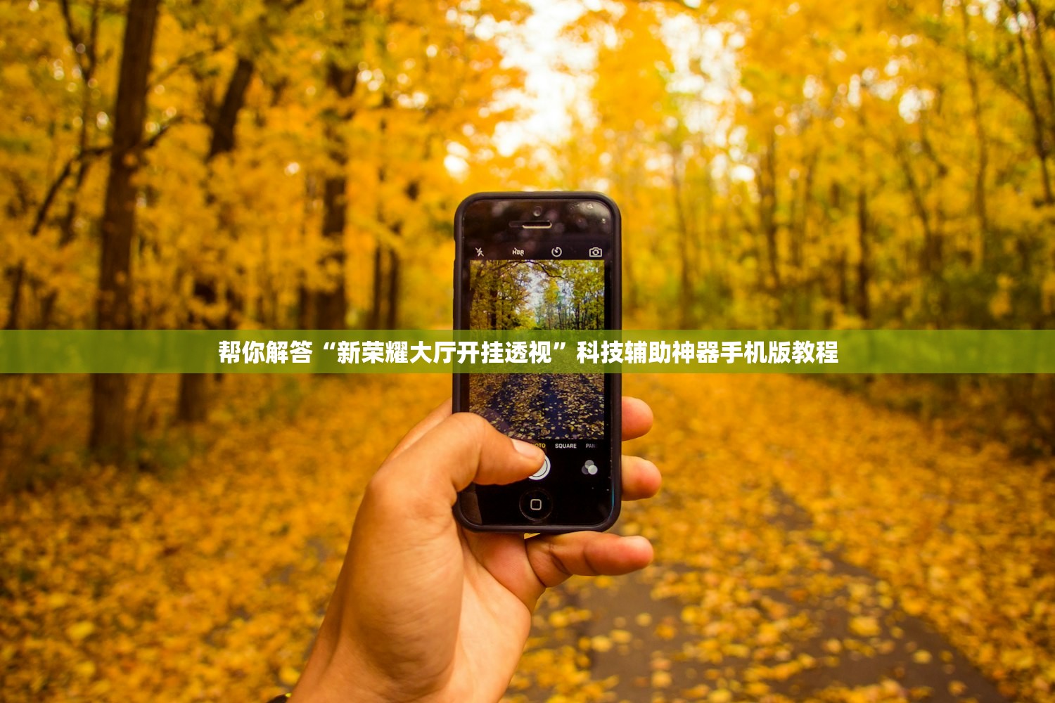 帮你解答“新荣耀大厅开挂透视	”科技辅助神器手机版教程