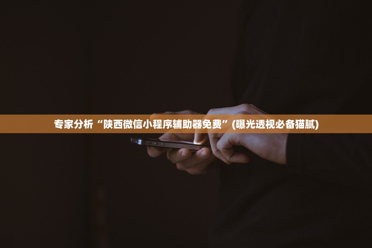 专家分析“陕西微信小程序辅助器免费	”(曝光透视必备猫腻)