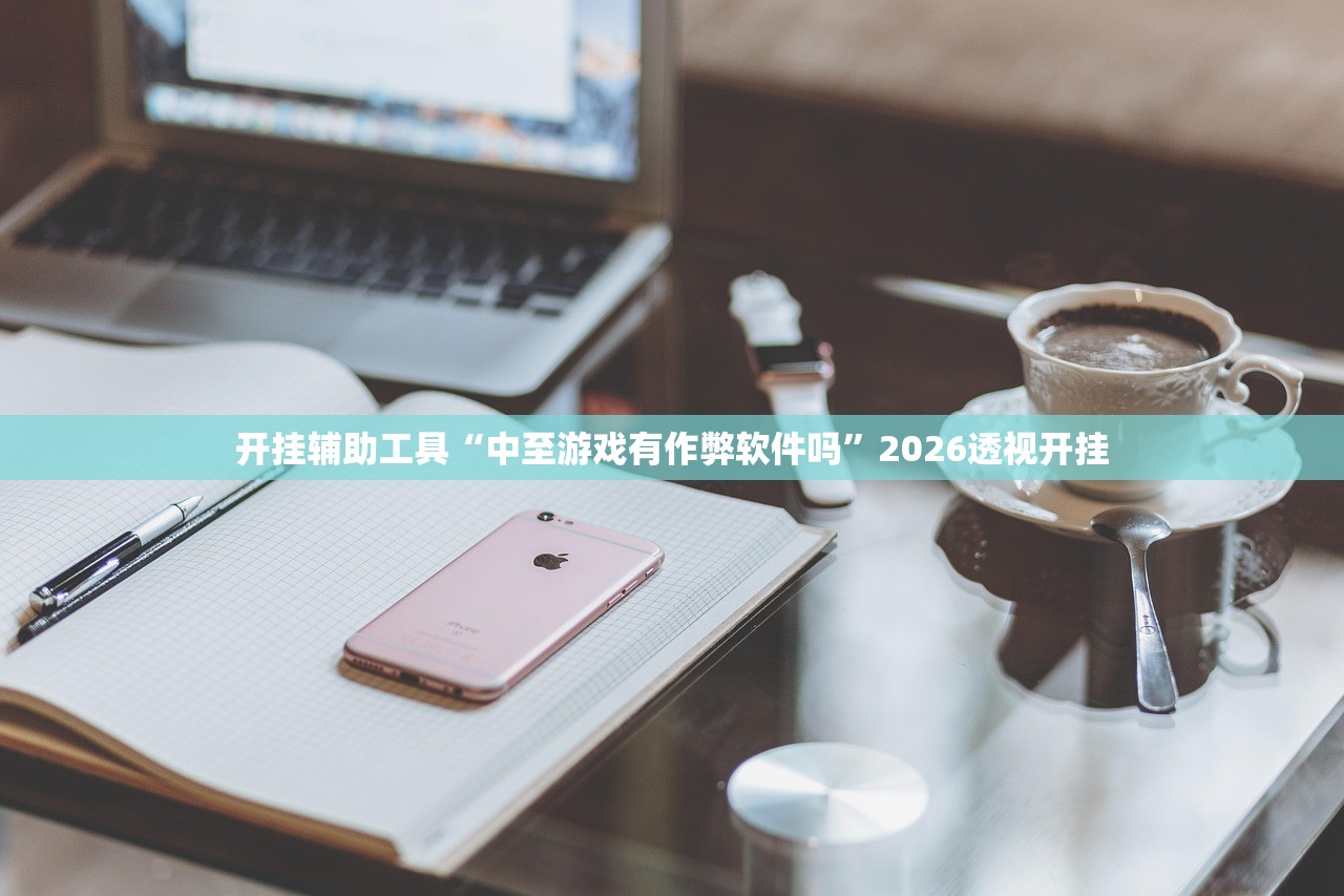 开挂辅助工具“中至游戏有作弊软件吗”2026透视开挂