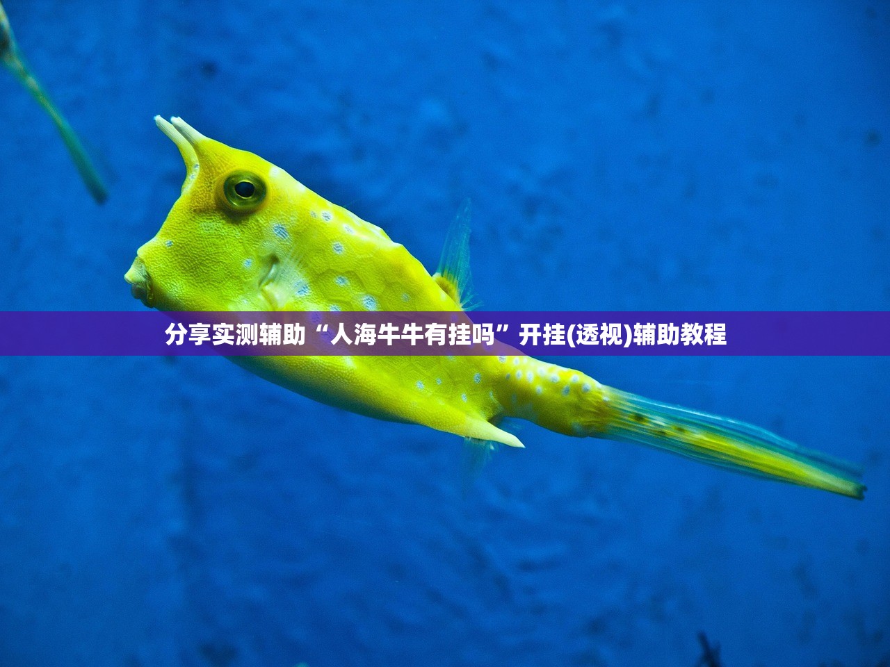 分享实测辅助“人海牛牛有挂吗”开挂(透视)辅助教程