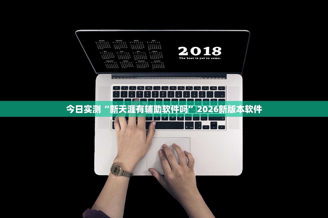 今日实测“新天涯有辅助软件吗”2026新版本软件